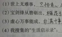 骄傲的名言俗语（一）_650字