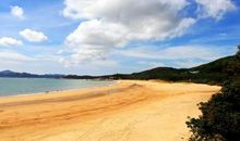 夏日里别样的风情_900字