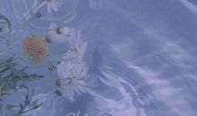 若有眠，枕的是月_800字