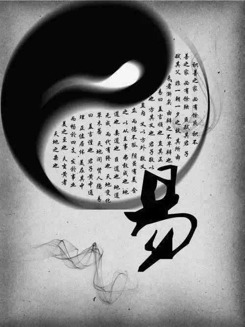 骑手_500字