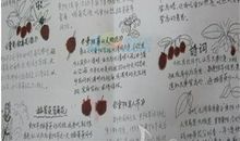 关于重阳节的作文：重阳节的习俗_800字