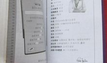 《冒险小虎队》观后感_200字