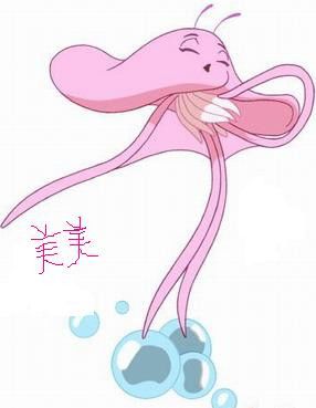 “小海鱼师”是一种观点_500字