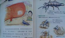 我的日记，被偷看了_550字