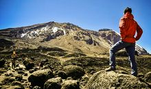 山顶上的马_250字