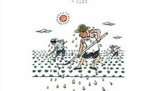 做一个节约粮食的人_500字