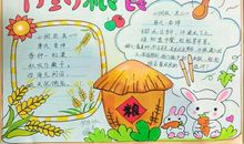 我学会了节约粮食_450字