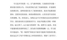 世界粮食日的演讲稿（二）_800字