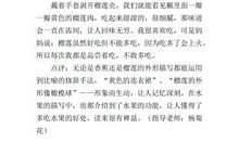 一年级状物作文：四季花开_200字