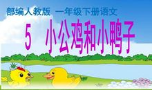 一年级状物作文：三只小鸭子_200字