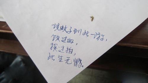 优秀的作文：我有蚊子的约会_800字