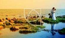 A flower with a blade of grass_2000字