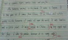 关于粮食的英语作文：粮食问题_3000字