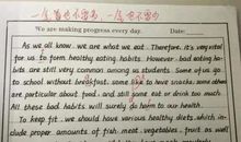 关于粮食的英语作文：我喜欢的食物_300字