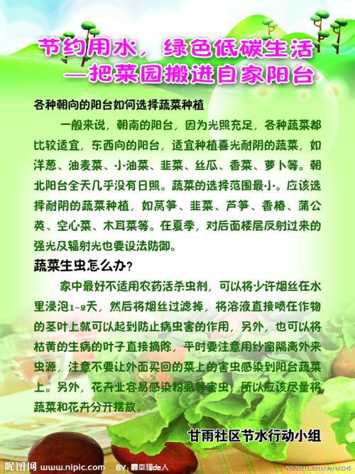 食物的储蓄：从我这里拯救食物_900字