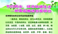 节约粮食的作文：节约粮食从我做起_900字