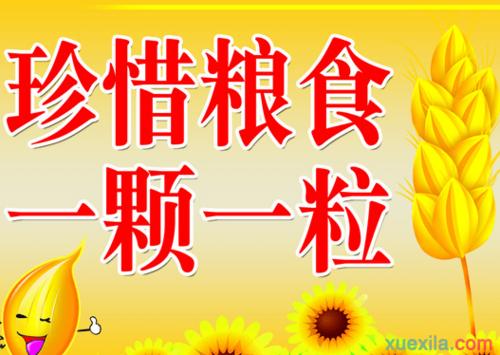 珍惜食物的构成：我知道如何珍惜食物_600字