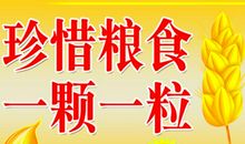 珍惜粮食的作文：我懂得了珍惜粮食_600字
