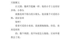 我的小弟弟_250字