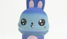 我和玩具小兔聊天_150字