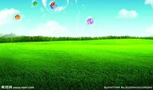 你是我的天空_550字