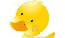 我的玩具小鸭子_200字