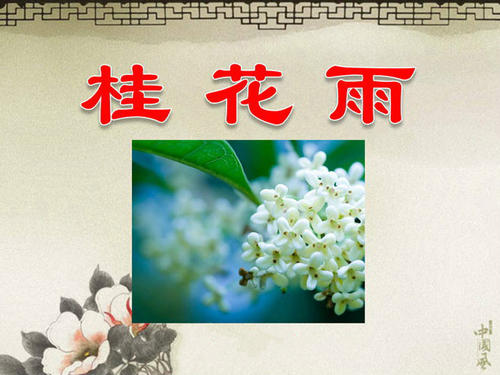 雨中的雨_100字