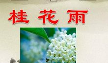 心中的雨_100字