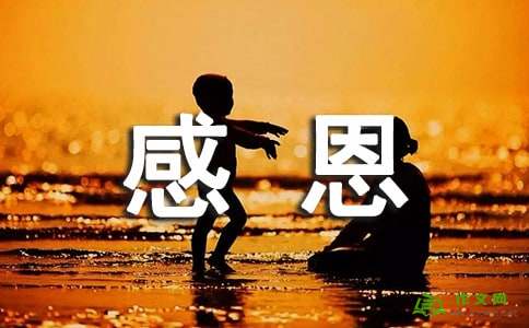 我的母校_800字