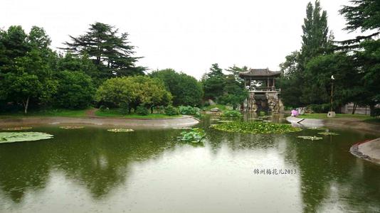 校园 - 植物园_500字