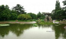 校园一角——植物园_500字