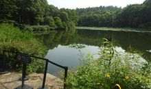 家乡的小池塘_450字