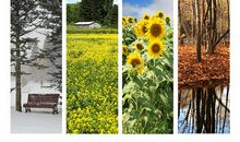 美丽的春夏秋冬_800字