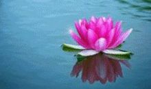 爱一直存在（第一章）_650字