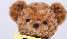 我的玩具熊_250字