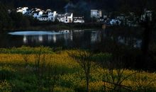 肉被骗走以后……_500字