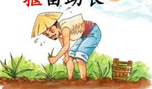 改写《揠苗助长》_500字