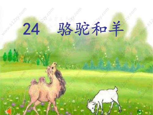 骆驼和羊通过（二级）_400字