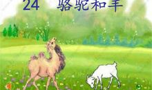 骆驼和羊后传(二年级)_400字