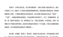 《地雷战》观后感_200字