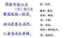 改写《宿新市徐公店》_300字