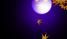 黄头发遐想_300字