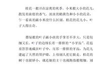 一年级状物作文：陀螺_200字