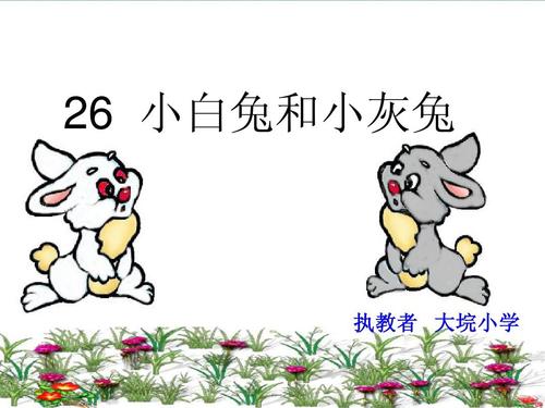 小白兔子首先去学校_150字