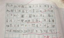 我最喜欢的水果_250字