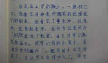 有趣的一天_200字