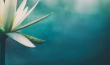 乐观，让生活更添色彩_400字