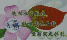 爱护自然生命_450字