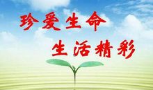 生命不分高低_800字