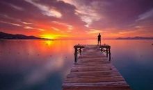 感悟生活、感悟生命_700字